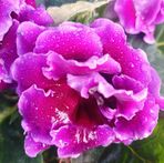 Ofelia Luis - Facebook
