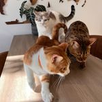 Ofelia, Maya & León - @ofelia.maya.leon - Instagram