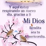 Ofelia Moncada - @laofe1930 - Instagram