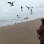 Ofelia Corsiga Moon - Facebook