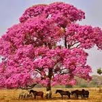 ♥mâs el altisimo esta conmigo♥ - @ofelia_mora_ - Instagram