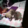 Ofelia Moran418 - @ofeliamoran - TikTok