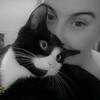 Mosley 🐱 - @adayinthelifeofmosley - TikTok