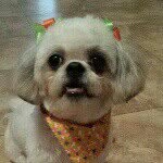 Ofelia Motta Montoya - @ofeliamotta - Instagram