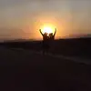 Ofelia Jimenez Nevar - @ofeliajimeneznevarez0 - TikTok