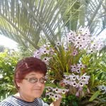 Ofelia Olivera - @ofelia.olivera.7 - Instagram