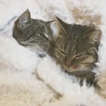 Oliver i Ofelia - @oliver_and_ofelia - Instagram
