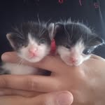 Oliver&Ofelia - @oliver.y.ofelia - Instagram