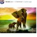 Ofelia Ortega - Facebook
