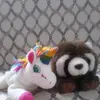 Ofelia Cruz Osorio - @ofeliacruzosorio - TikTok
