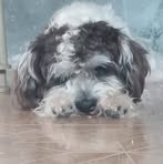Ofelia Osorio - Facebook