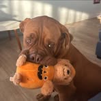 Ophelia Payne - Facebook
