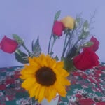 ofeliapico8211 - @ofeliapico8211 - Instagram