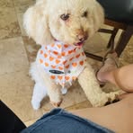 Ofelia Pompa - Facebook