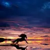 Ofelia Popescu - @ofelia.popescu91 - TikTok