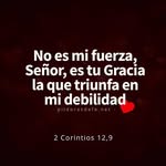 Ofelia Alvarado Puente - @ofelia_alvarado65 - Instagram