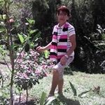 ofelia quintero - @ofelia_quintero - Instagram