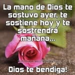 Ofelia Rayo - @ofeliarayo - Instagram