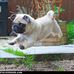 Ofelia Rice - Facebook