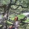 Ofelia De Rincon - @ofeliarincon89 - TikTok