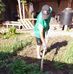 Ofelia Rivas - Facebook