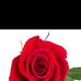 Ofelia Rivas - Facebook