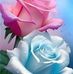 Ofelia Rivas - Facebook
