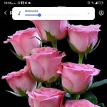 Ofelia Rizzo - @ofelia61185 - Instagram