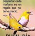 Ofelia Singer - Facebook