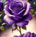 Ofelia Solano - Facebook