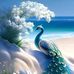 Ofelia Solano - Facebook