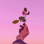 Ofelia Velandia - @ofelia.velandia.75 - Instagram
