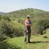 השען הרוכב - @oferkatz0 - TikTok
