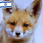 Ofer Katz - @ofer.katz.54 - Instagram