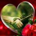 Aicha Oufir - Facebook