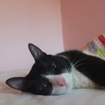 Ofir_123456 - @ofir_shalom_ - Instagram