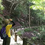 澪 - @og.mandino - Instagram