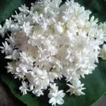 Ohnmar Khin - @ohnmar.khin.14019338 - Instagram