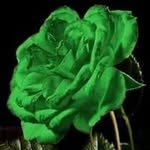 Ohnmar Khin - @khinlayhtut99 - Instagram