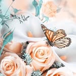 Oindrila ray - @oindril.a_ray_6789 - Instagram