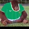 Oisin O’Doherty - @oisin.odoherty - TikTok