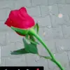 Ojas - @ojas_rokde1 - TikTok