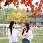 Seoul Photographer || Jasa Itinerary Korea ✨ - @sonmulstory - Instagram