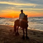 Okan ARSLAN - @arslannokn - Instagram