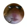Hasan Okan Kaya - @okanhasan67 - TikTok