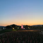 Okhee Kim - Facebook