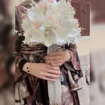 علا عفيفي - Facebook