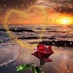 Ola Afifi - Facebook
