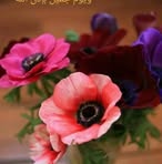 Ola Afifi - Facebook