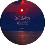 Ola Afifi - Facebook